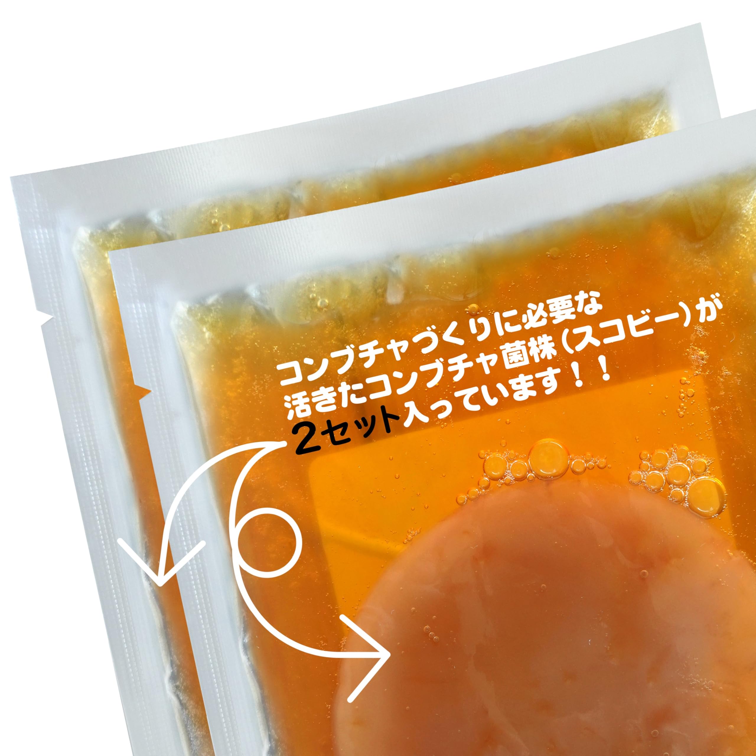 Amazon.co.jp: 国産 コンブチャ スターターキット2個セット［伊勢志摩